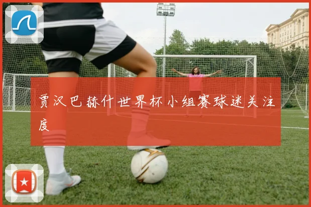 贾汉巴赫什世界杯小组赛球迷关注度