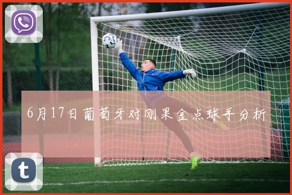 6月17日葡萄牙对刚果金点球手分析