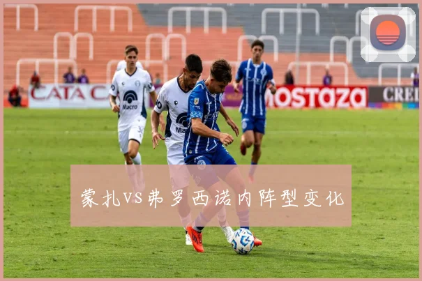 蒙扎vs弗罗西诺内阵型变化